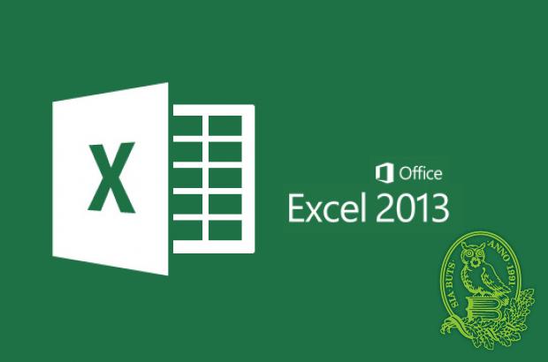 Microsoft Office Excel 2013 lietotājiem