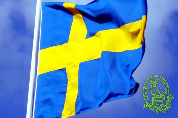 Zviedru valoda ar priekšzināšanām (atbilstoši Eiropas valodu prasmes A2 līmenim)