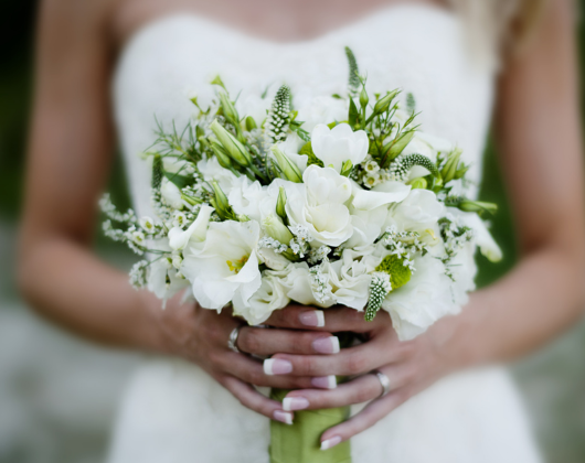 Mūsdienu floristika un floristikas pamati