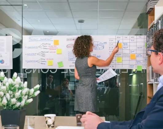 Biznesa procesu un projektu vadība.webp