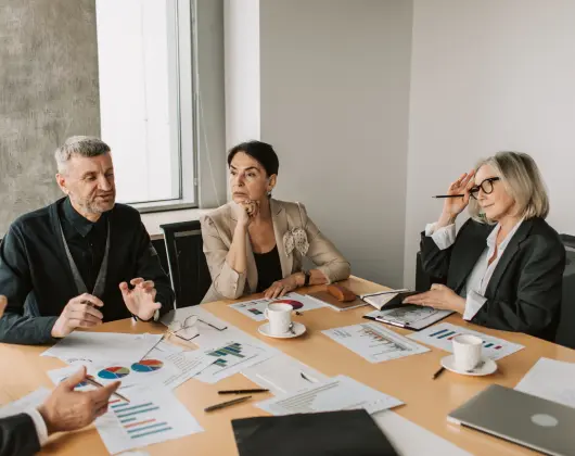 Biznesa procesu un projektu vadība_3.webp