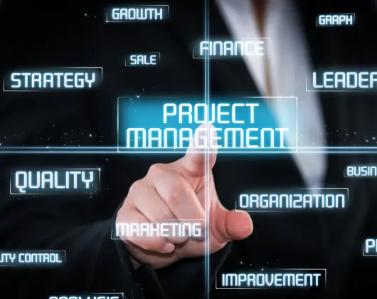 Biznesa procesu un projektu vadība_4.webp