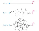 4 (14).webp