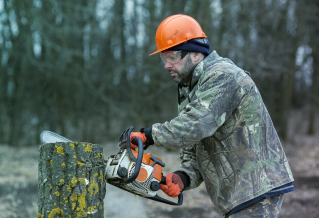 Krūmgrieža, motorzāģa operators (atkārtota atestācija)