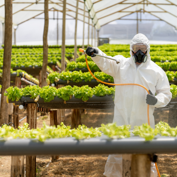 [5592] Pamatapmācības un zināšanu atjaunošanas apmācības programmas tēmas pirmās reģistrācijas klases augu aizsardzības līdzekļu lietošanai